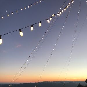 Meet your Posher, Priscilla